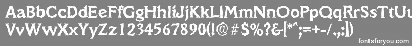 VeracruzrandomBold Font – White Fonts on Gray Background