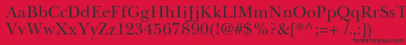 BaskervilleCyrillicUpright Font – Black Fonts on Red Background