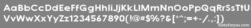 フォントCacophonyLoud – 灰色の背景に白い文字