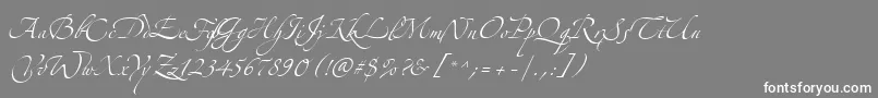 フォントZeferinoThree – 灰色の背景に白い文字