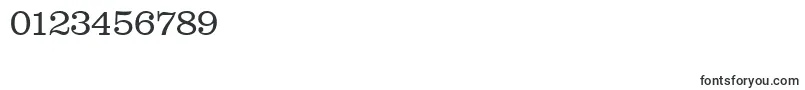 フォントClareserialLight – 数字と数値のためのフォント