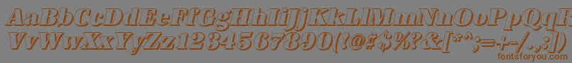 AntiquashCdHeavyItalic Font – Brown Fonts on Gray Background