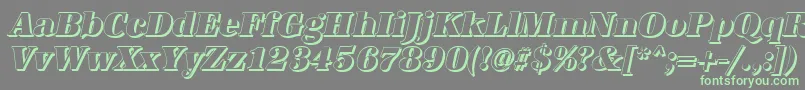 フォントAntiquashCdHeavyItalic – 灰色の背景に緑のフォント