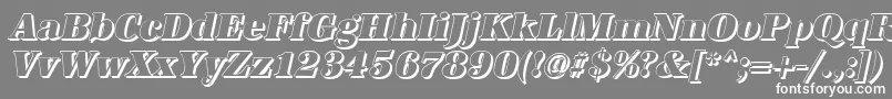 AntiquashCdHeavyItalic-fontti – valkoiset fontit harmaalla taustalla