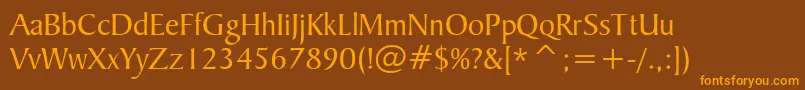 Bakrsign Font – Orange Fonts on Brown Background