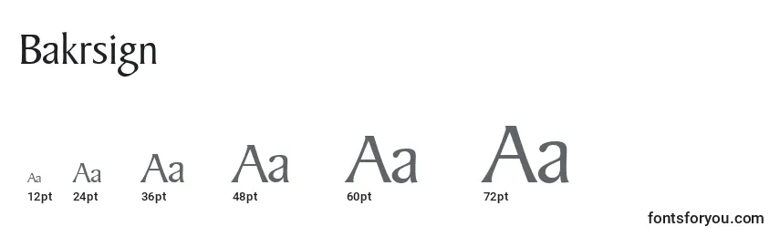 Размеры шрифта Bakrsign