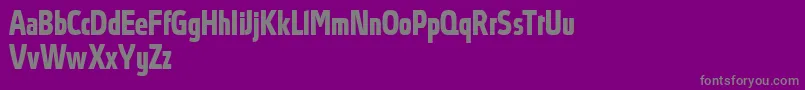 AbsolutProBoldcondensed Font – Gray Fonts on Purple Background