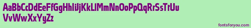 AbsolutProBoldcondensed Font – Purple Fonts on Green Background