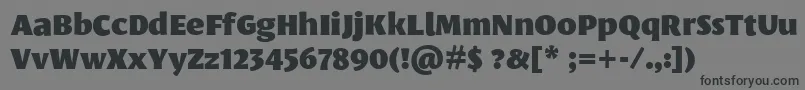 フォントLeksasansproBlack – 黒い文字の灰色の背景