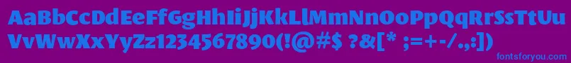 LeksasansproBlack Font – Blue Fonts on Purple Background