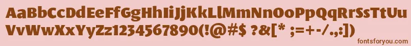 LeksasansproBlack Font – Brown Fonts on Pink Background