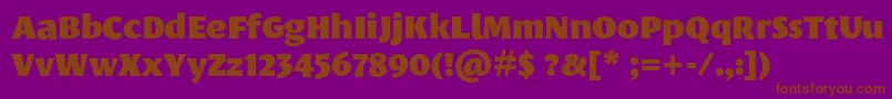 Czcionka LeksasansproBlack – brązowe czcionki na fioletowym tle