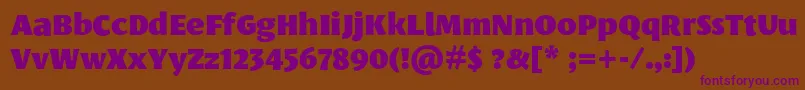 LeksasansproBlack Font – Purple Fonts on Brown Background