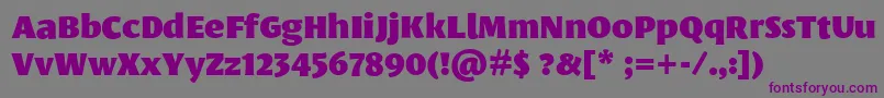 フォントLeksasansproBlack – 紫色のフォント、灰色の背景