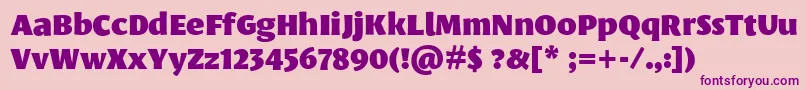 フォントLeksasansproBlack – ピンクの背景に紫のフォント
