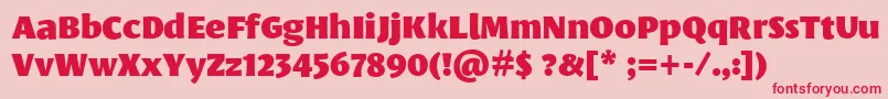 LeksasansproBlack-Schriftart – Rote Schriften auf rosa Hintergrund