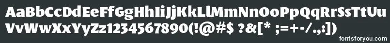 フォントLeksasansproBlack – 黒い背景に白い文字