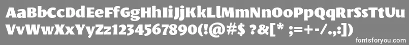 LeksasansproBlack-fontti – valkoiset fontit harmaalla taustalla
