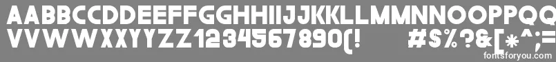 フォントTheGouldSt – 灰色の背景に白い文字