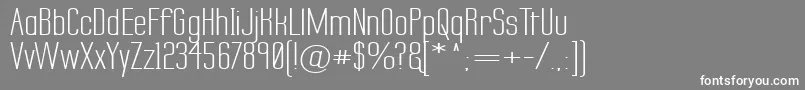 LabtopSecundoWide Font – White Fonts on Gray Background