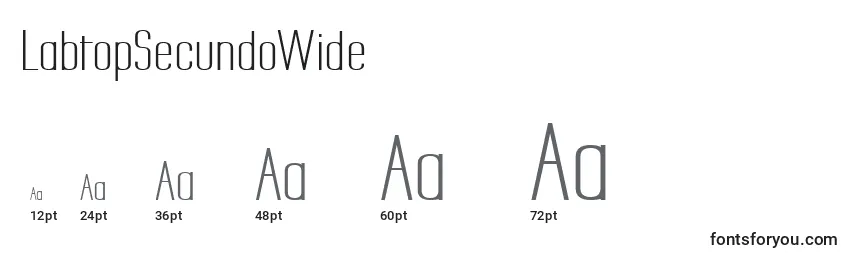LabtopSecundoWide Font Sizes
