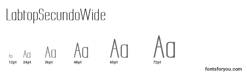 Размеры шрифта LabtopSecundoWide