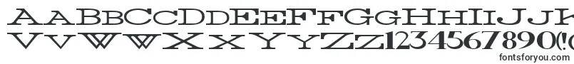 ThinWidest Font – CapCut Fonts