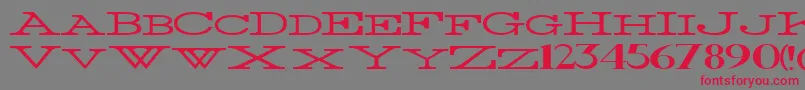 ThinWidest Font – Red Fonts on Gray Background