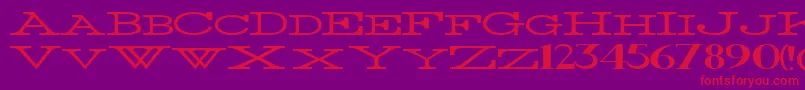 ThinWidest Font – Red Fonts on Purple Background