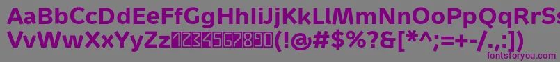 MetrondigitaProBold Font – Purple Fonts on Gray Background