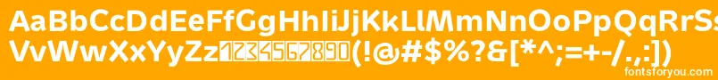 MetrondigitaProBold Font – White Fonts on Orange Background