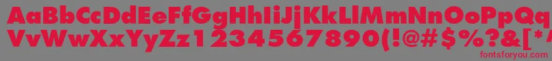Agfatumextraboldc Font – Red Fonts on Gray Background