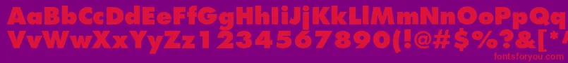 Agfatumextraboldc Font – Red Fonts on Purple Background