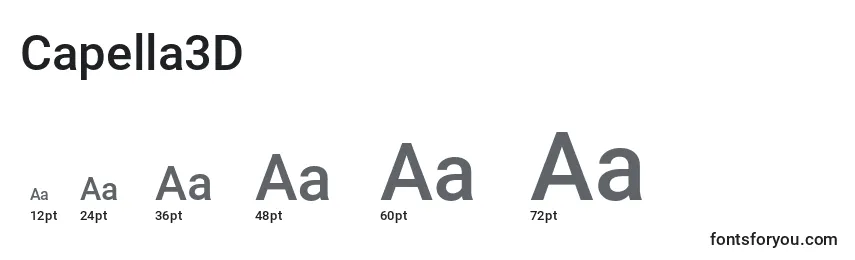 Размеры шрифта Capella3D