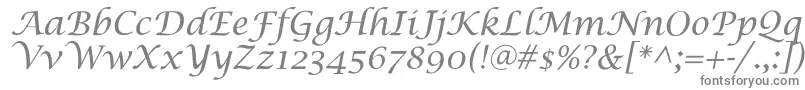 SaintgermainCalligraphy-fontti – harmaat kirjasimet valkoisella taustalla