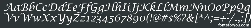 Шрифт SaintgermainCalligraphy – белые шрифты
