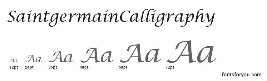 Размеры шрифта SaintgermainCalligraphy