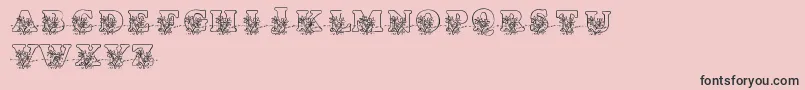 LmsLovesMe-fontti – mustat fontit vaaleanpunaisella taustalla