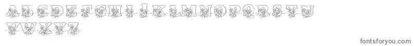 LmsLovesMe-fontti – harmaat kirjasimet valkoisella taustalla