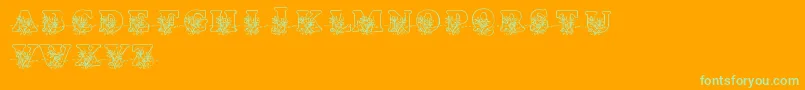 フォントLmsLovesMe – オレンジの背景に緑のフォント