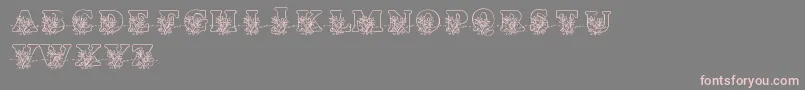 フォントLmsLovesMe – 灰色の背景にピンクのフォント