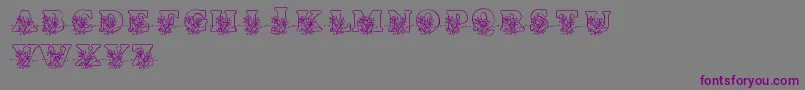 フォントLmsLovesMe – 紫色のフォント、灰色の背景