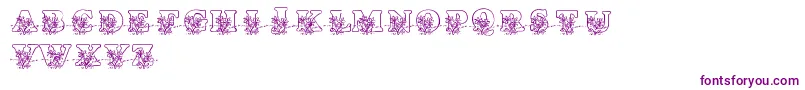 LmsLovesMe Font – Purple Fonts