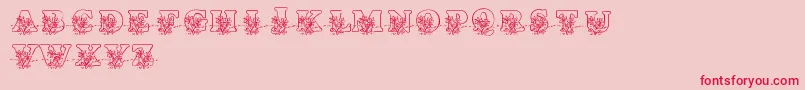 LmsLovesMe Font – Red Fonts on Pink Background