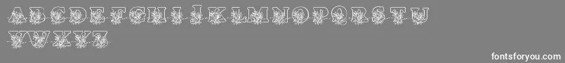 フォントLmsLovesMe – 灰色の背景に白い文字