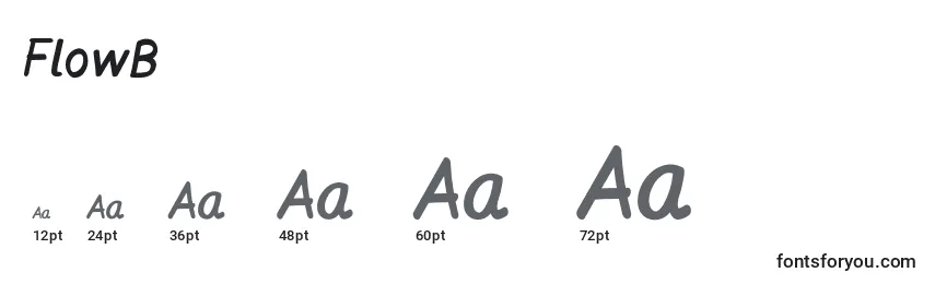 FlowB Font Sizes
