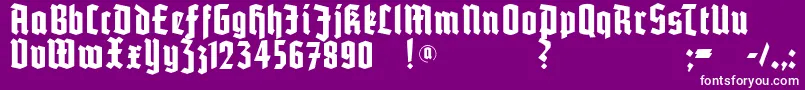 Potsdam Font – White Fonts on Purple Background