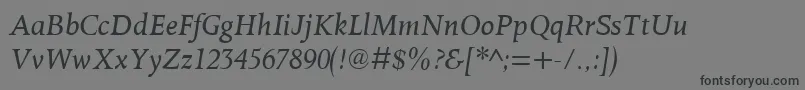 OctavianmtItalic Font – Black Fonts on Gray Background
