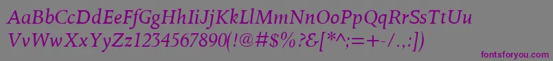 OctavianmtItalic Font – Purple Fonts on Gray Background