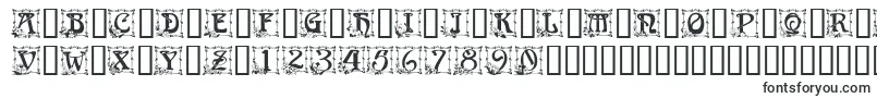 CapitularFloral-Schriftart – Quadratische Schriften